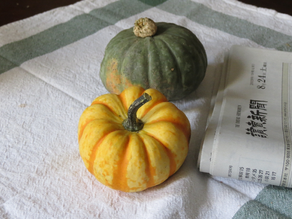 kabocha